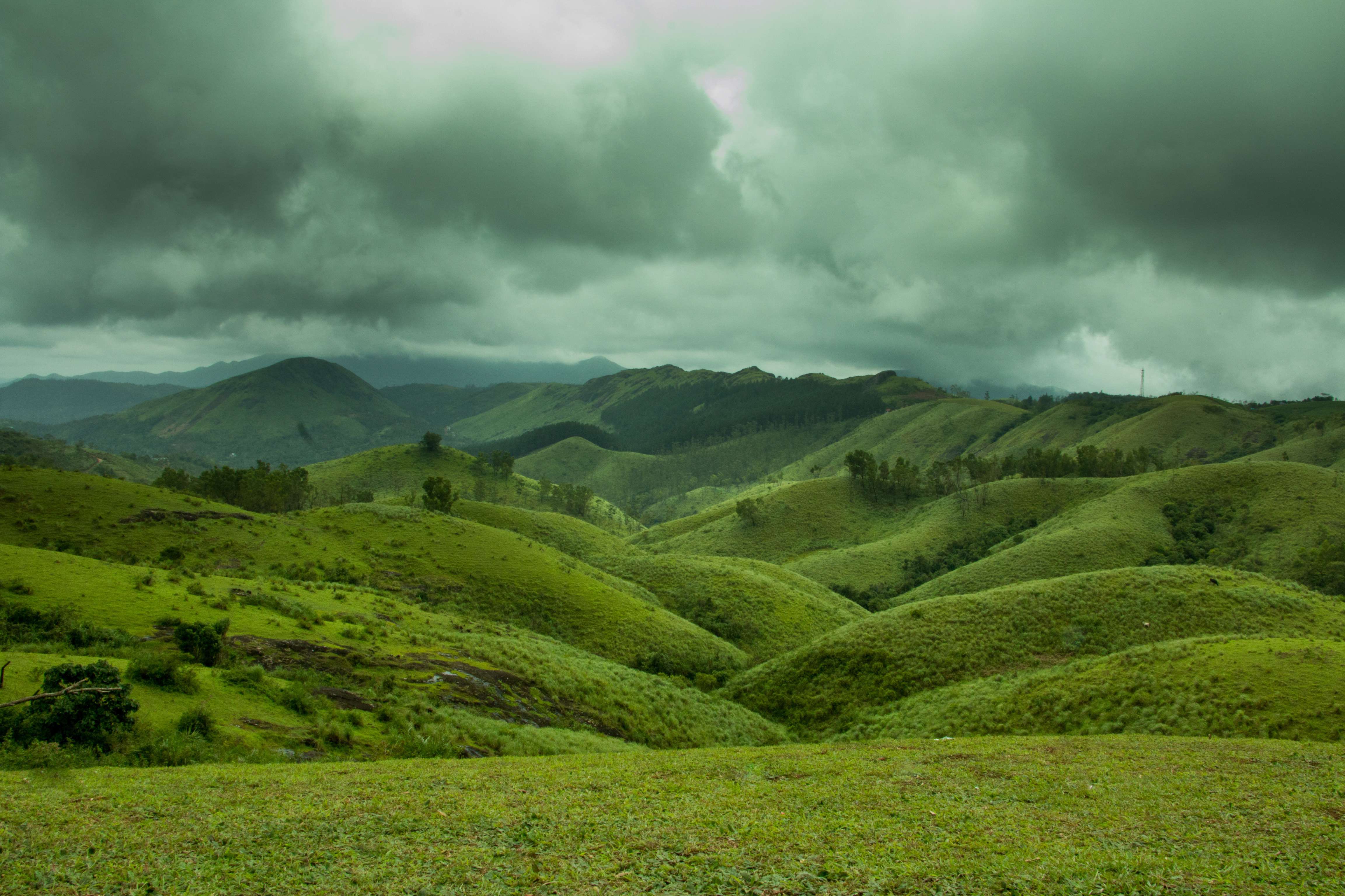 Witness the Beauty of Vagamon Hill Station