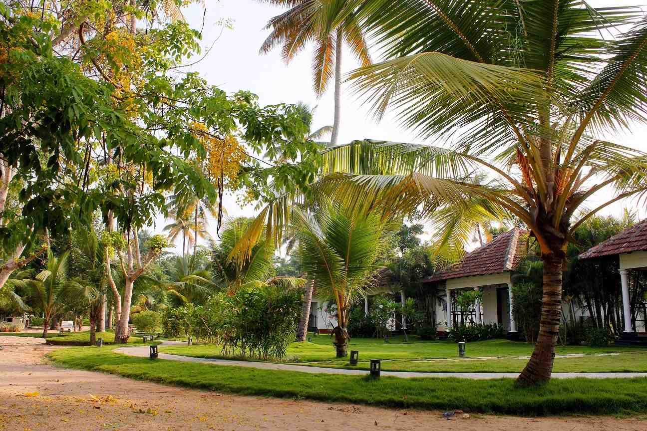 Tree Leaf Marari Sands Beach Resort
