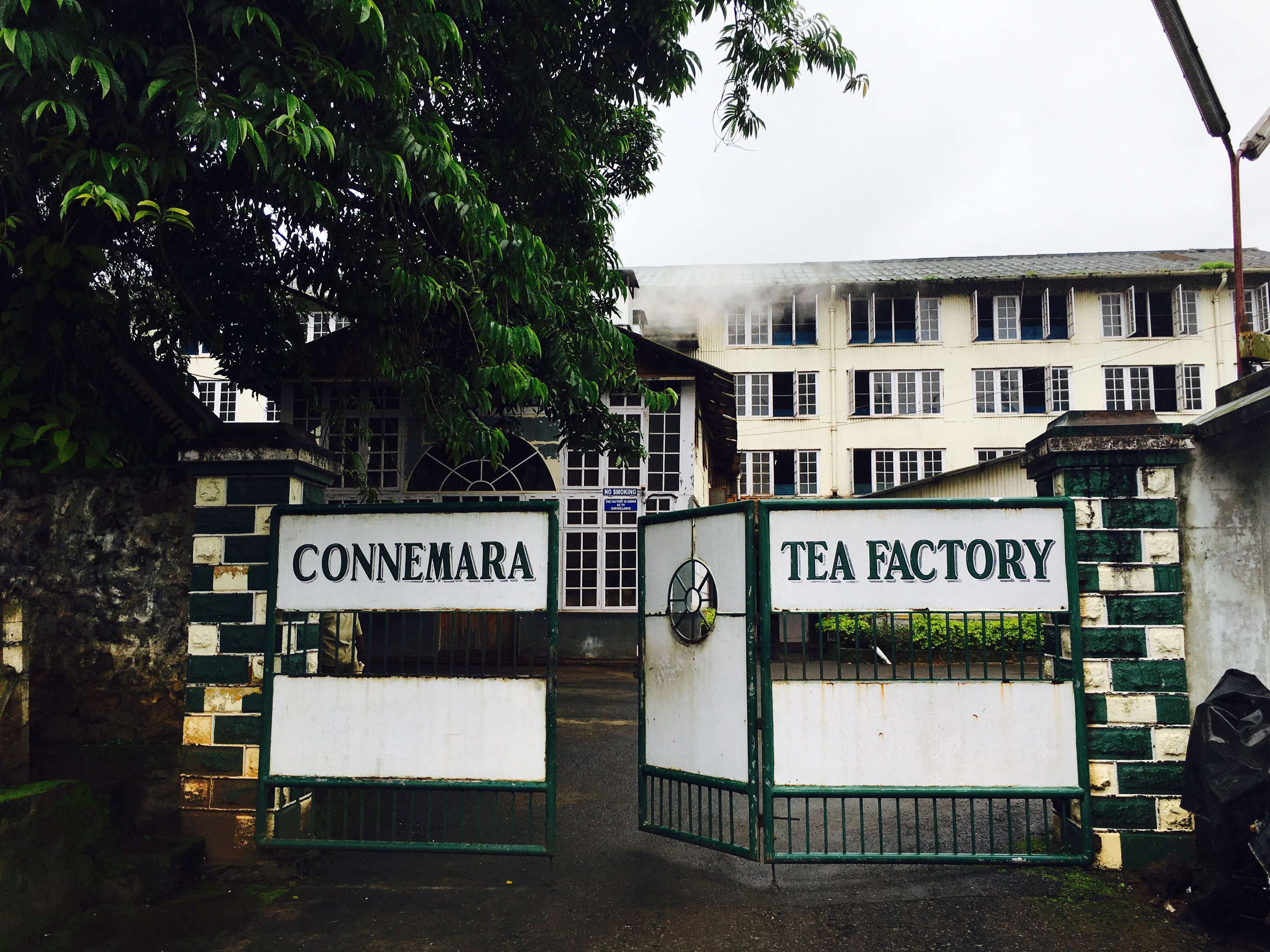 Connemara Tea Factory