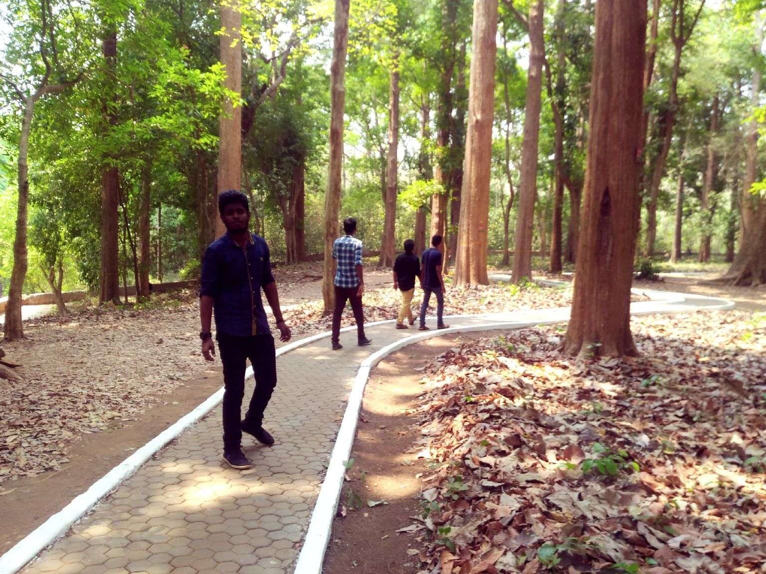 Nilambur Teak Museum