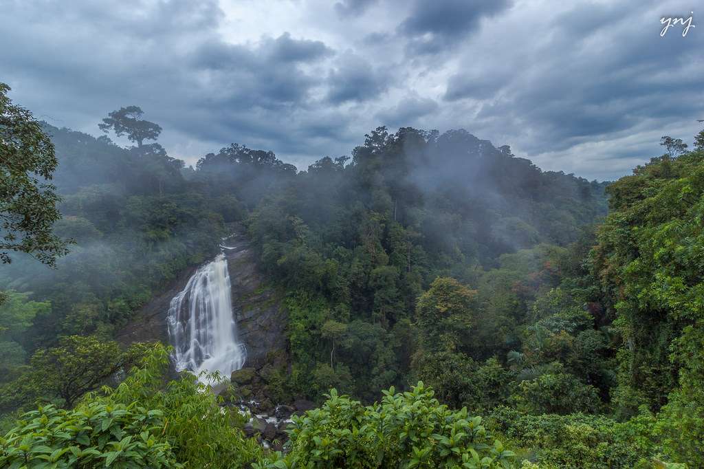 Munnar in Monsoon