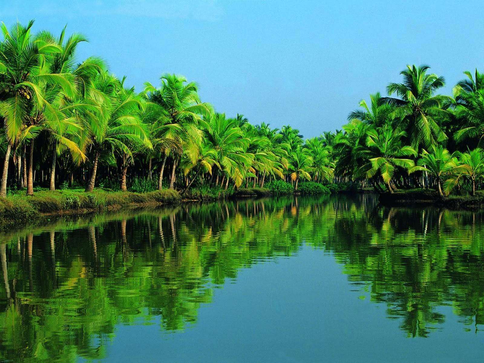Best time To Visit Alleppey Backwaters
