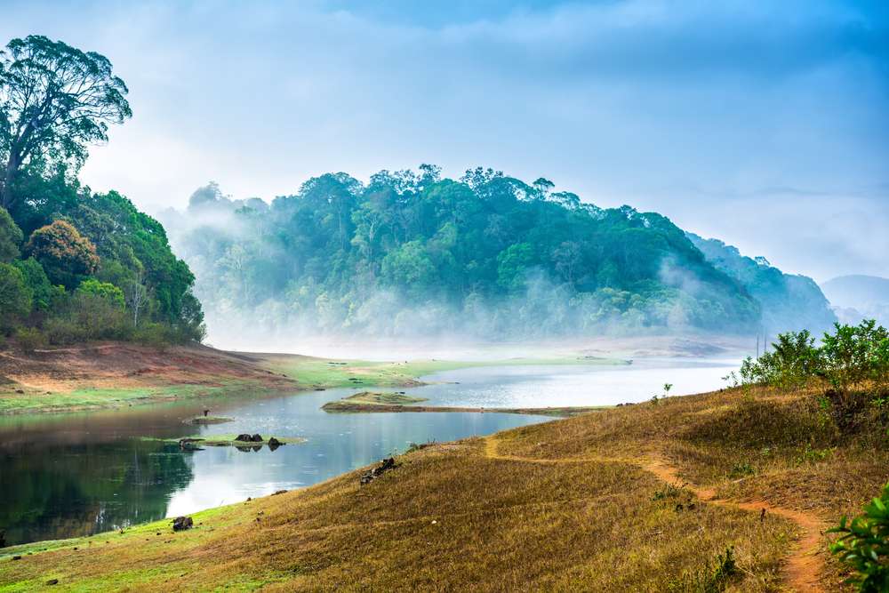 Best Time to Visit Periyar National Park