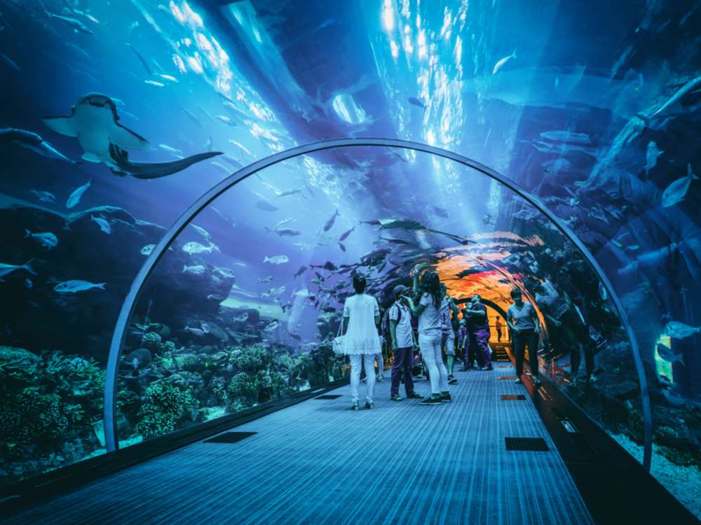Dubai Aquarium & Underwater Zoo