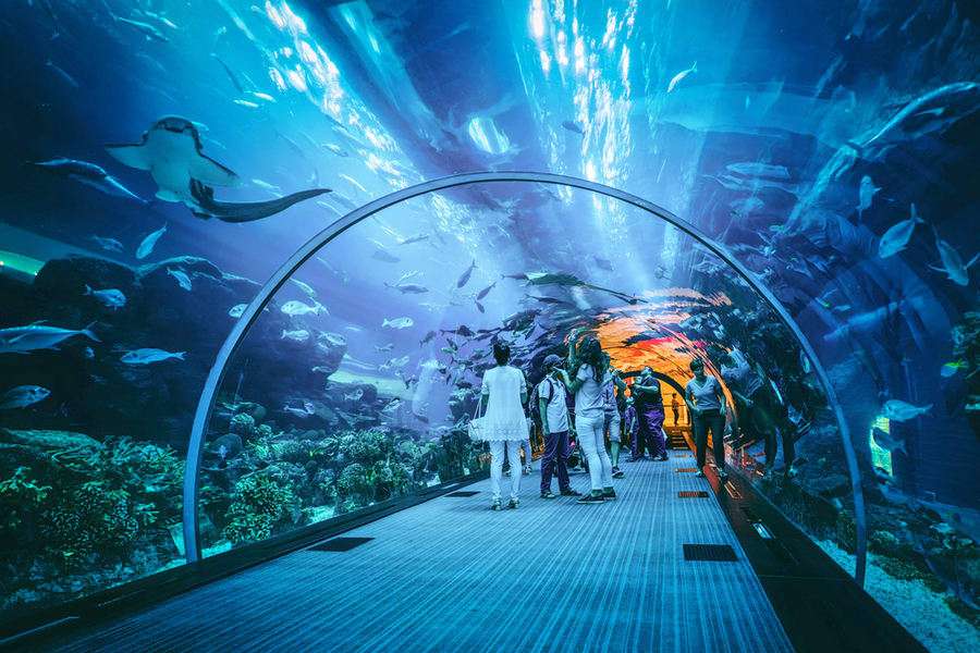 Dubai Aquarium & Underwater Zoo