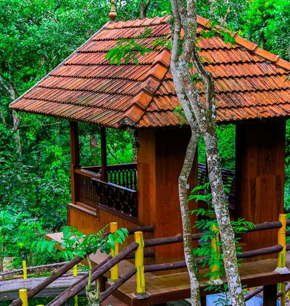 Kalppavanam Tree House