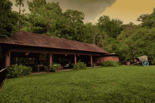 Rain Forest Athirapally