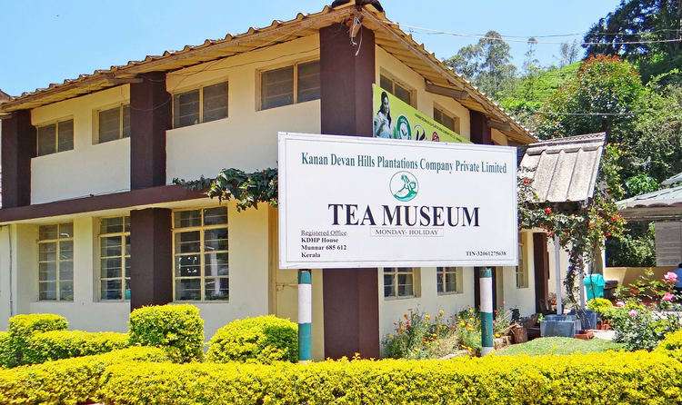 Tea Museum