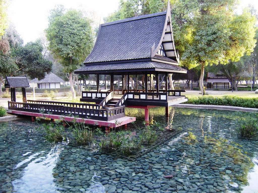 Enjoy Around the Playhouses in Mushrif Park