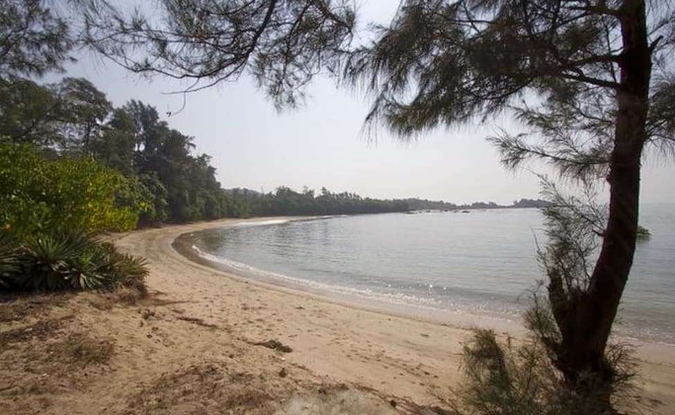 Thottappally Beach