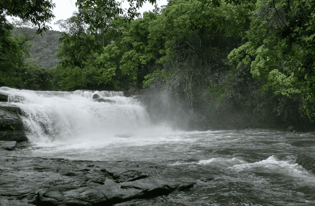Thommankuthu Waterfalls