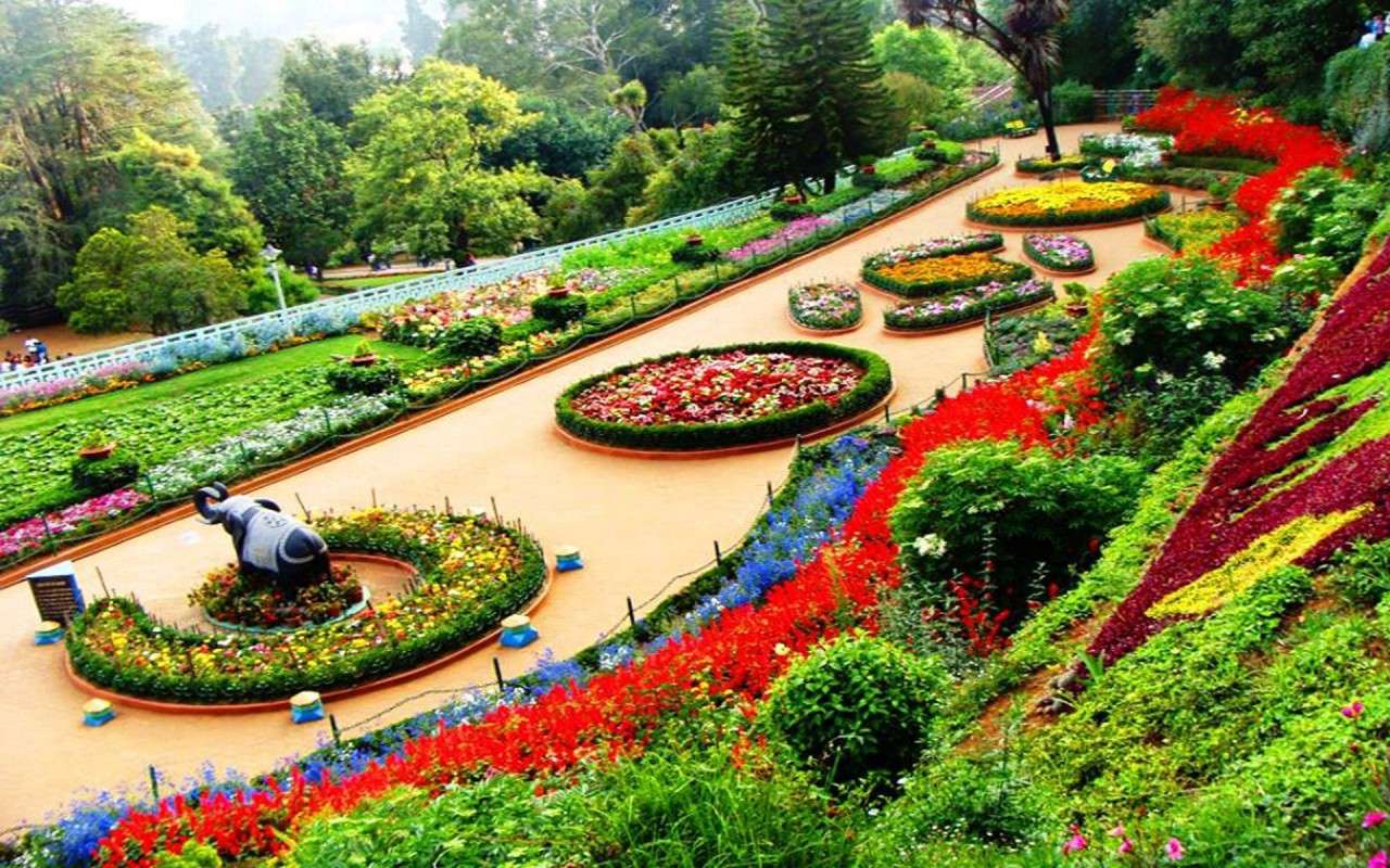 Visit the Scenic Rose Garden