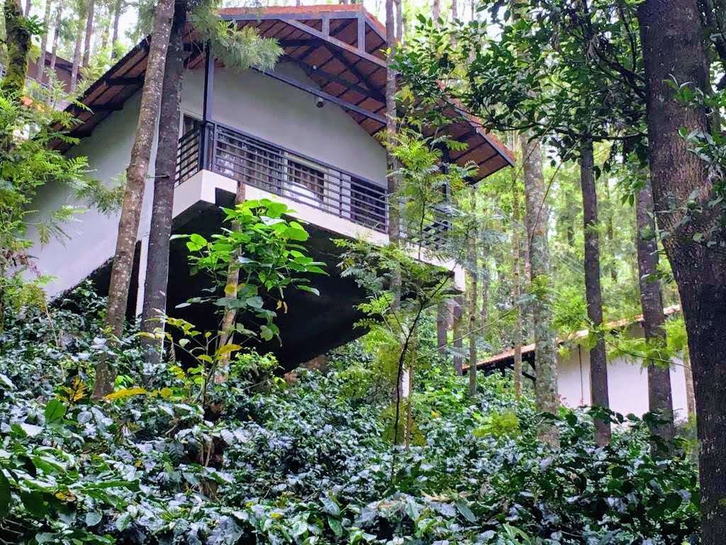 Peter's Hill View Residency