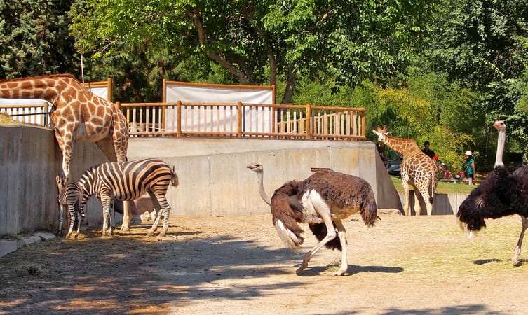 Rajeev Gandhi Zoological Park