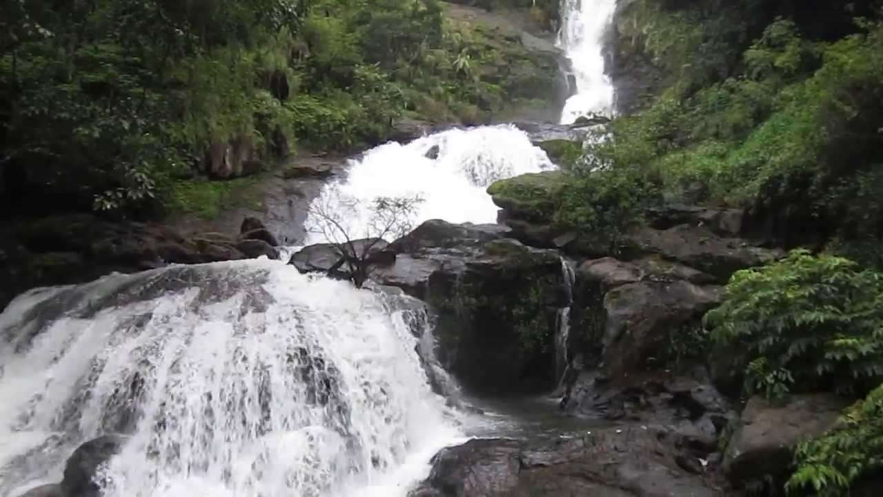 Pandavkada Falls (31 km from Mumbai)