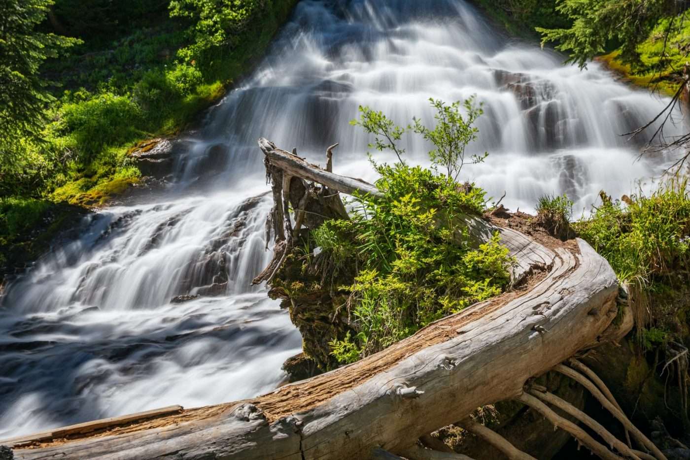 Umbrella Falls (161 km from Mumbai)