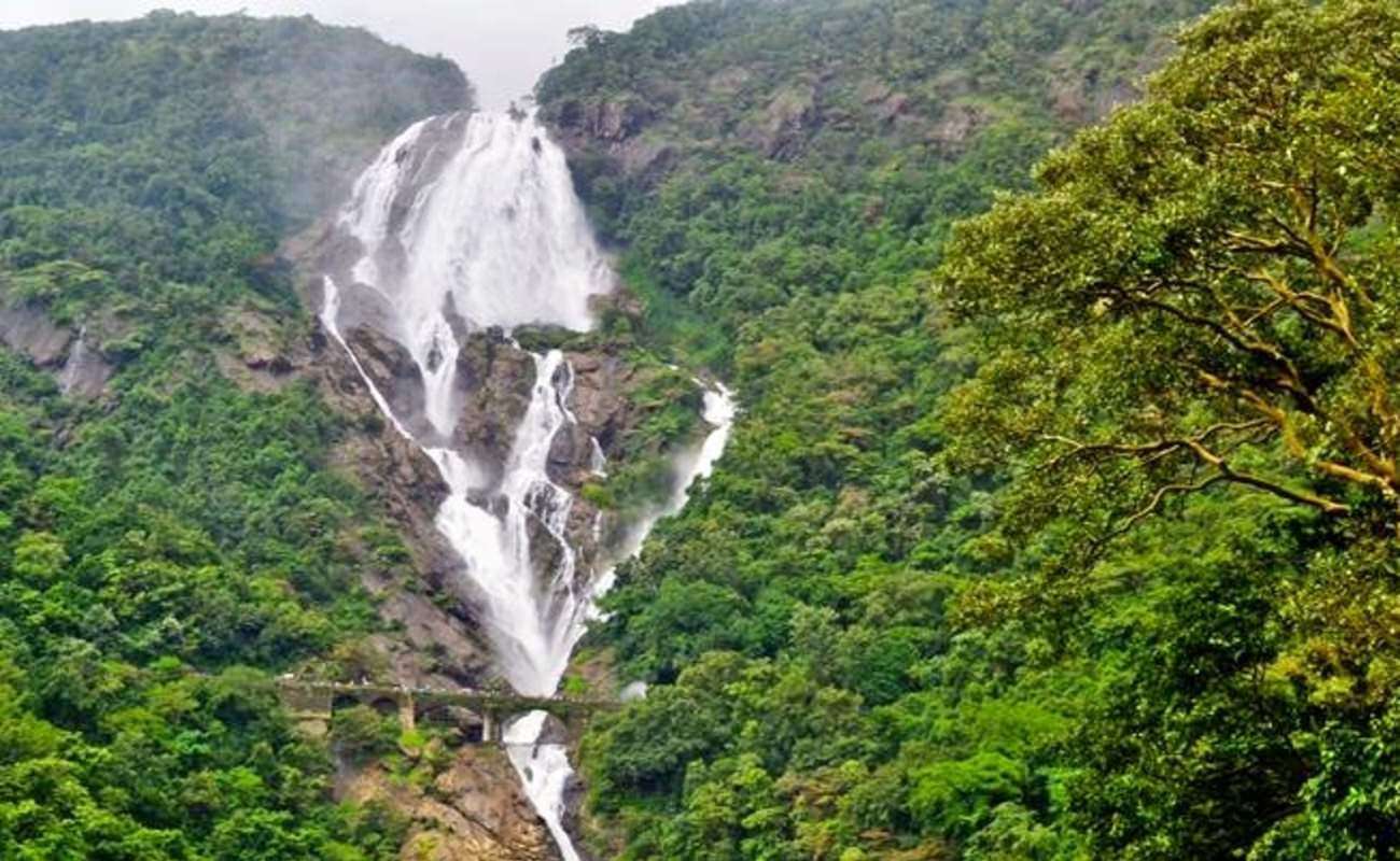 Dudhsagar Falls (570 km from Mumbai)