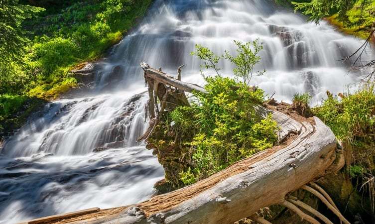 Umbrella Falls (175 km from Pune)