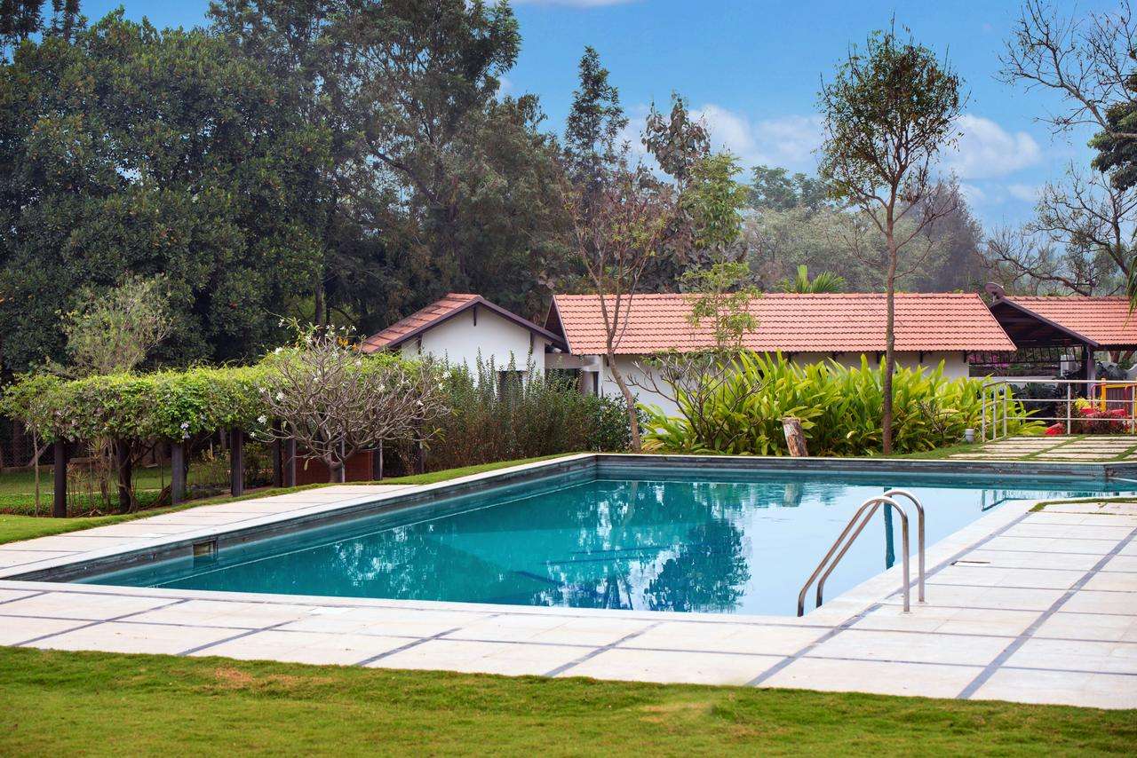 Tranquil Woods By Jade