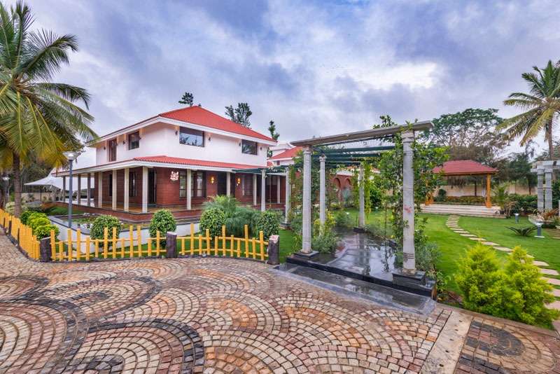 Nesara Center For Culture