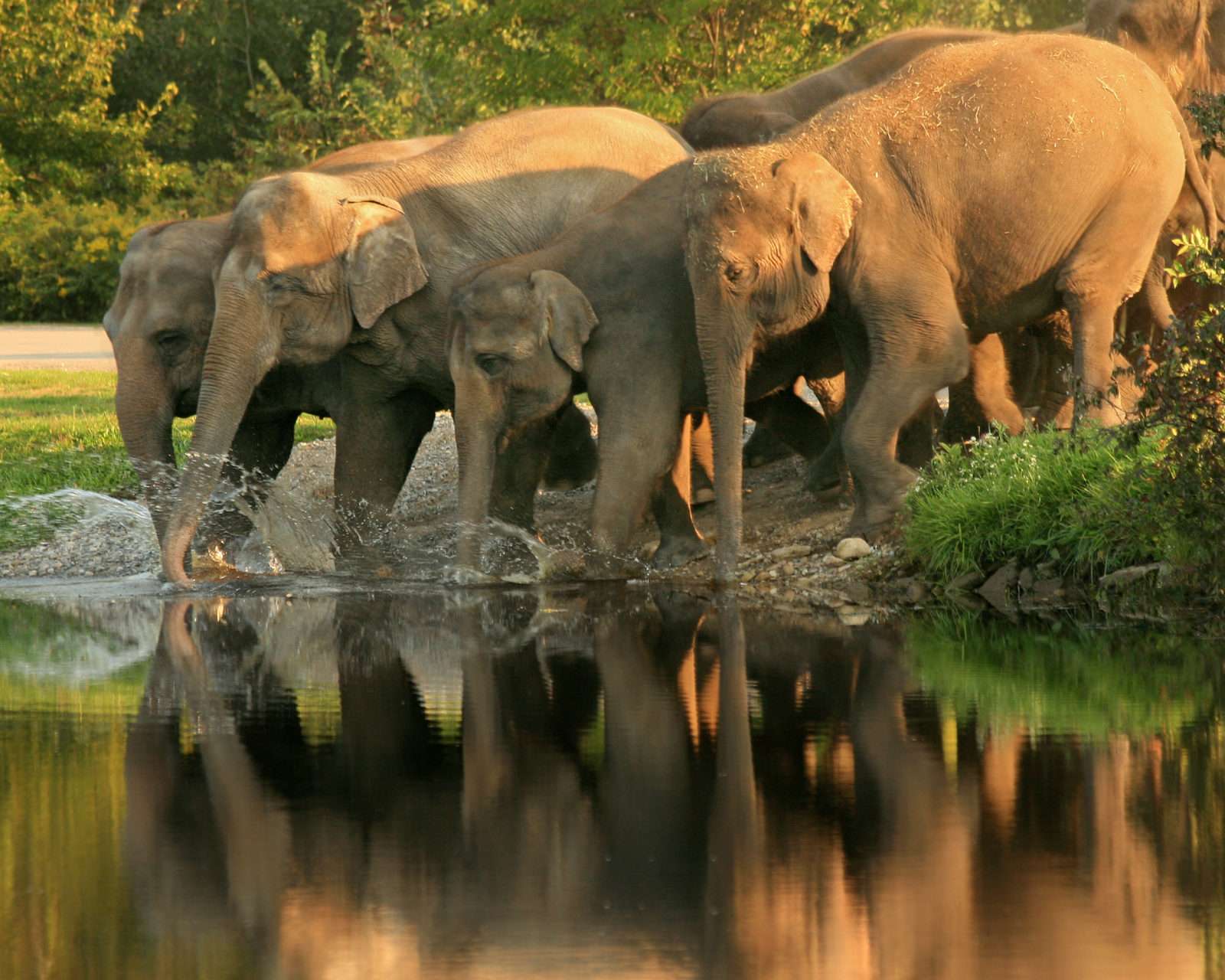 Mudumalai National Park