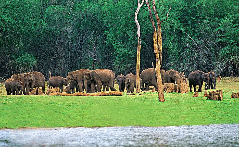 Periyar Wildlife Sanctuary