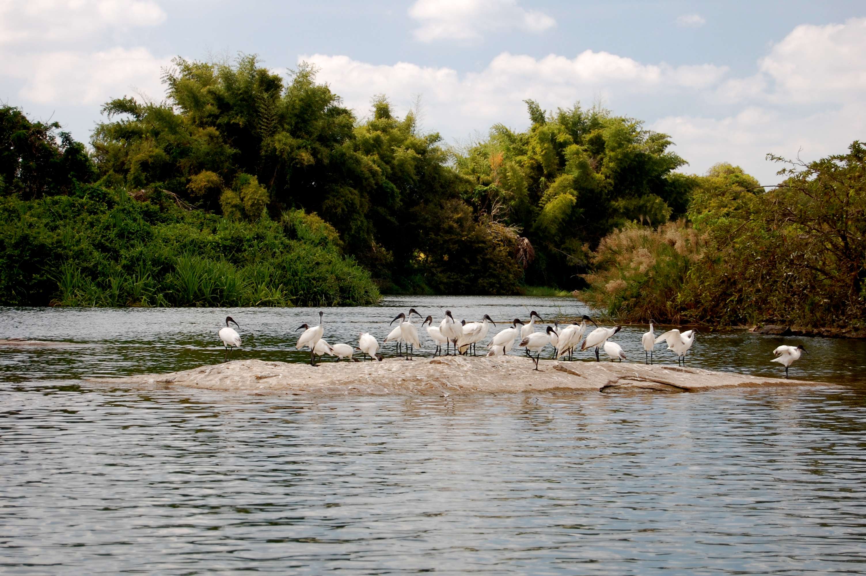 Cauvery Wildlife Sanctuary
