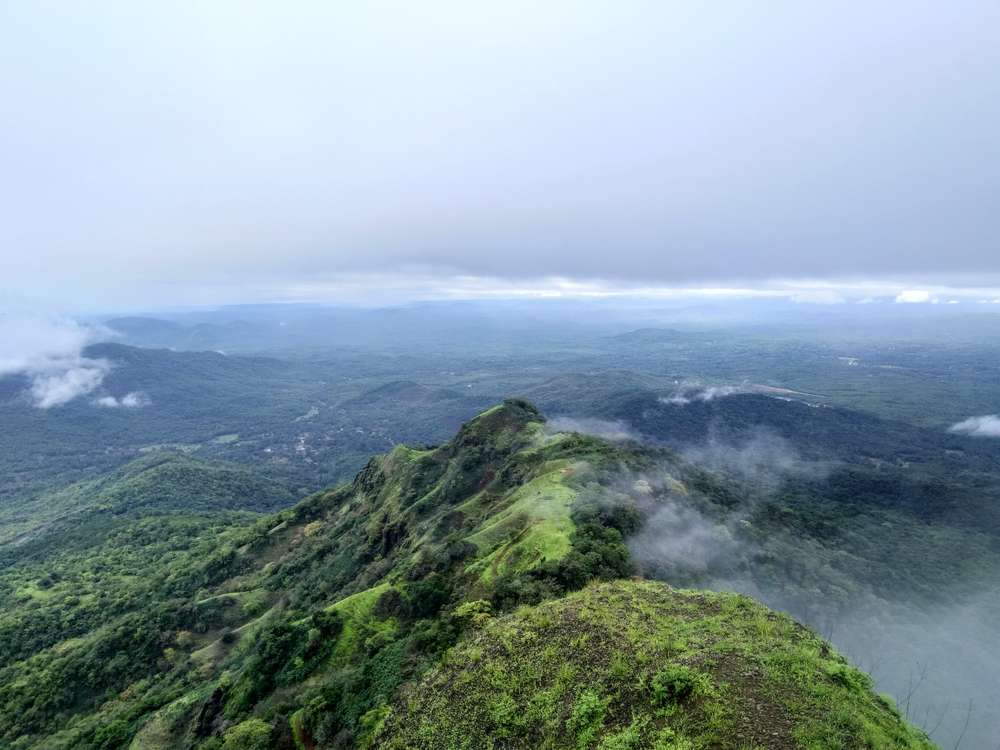 Amboli