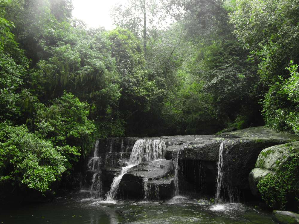 Vattakanal Waterfalls 