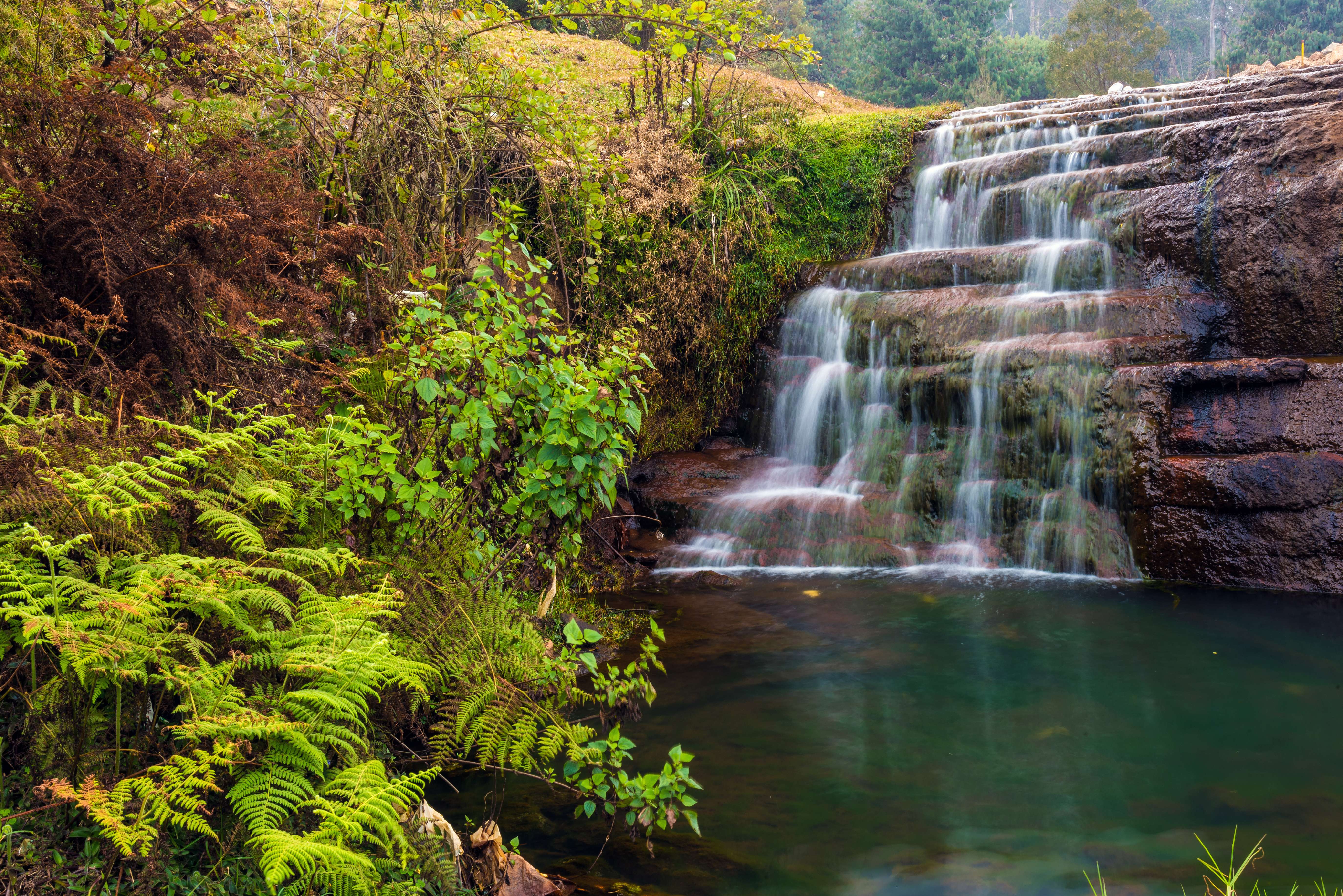 8 Best Waterfalls in Kodaikanal - {{year}} (With Photos & Reviews)