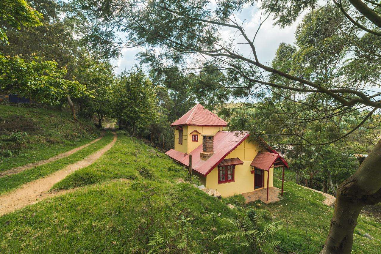 Whispering Waters Cottage