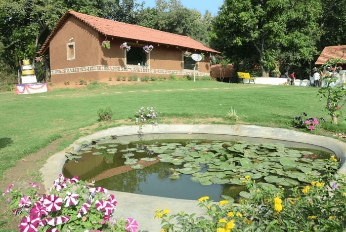 Ali's Arcadia Resort