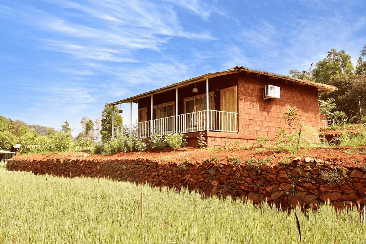 Jungle Valley Resort