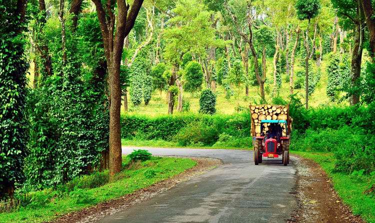 Coorg