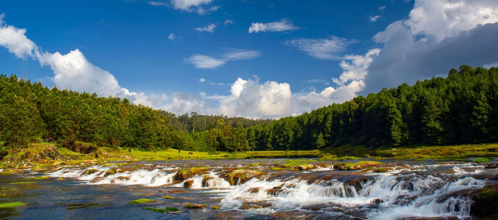 Bangalore to Ooty Route Map