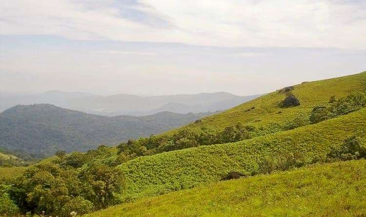 Brahmagiri Hills
