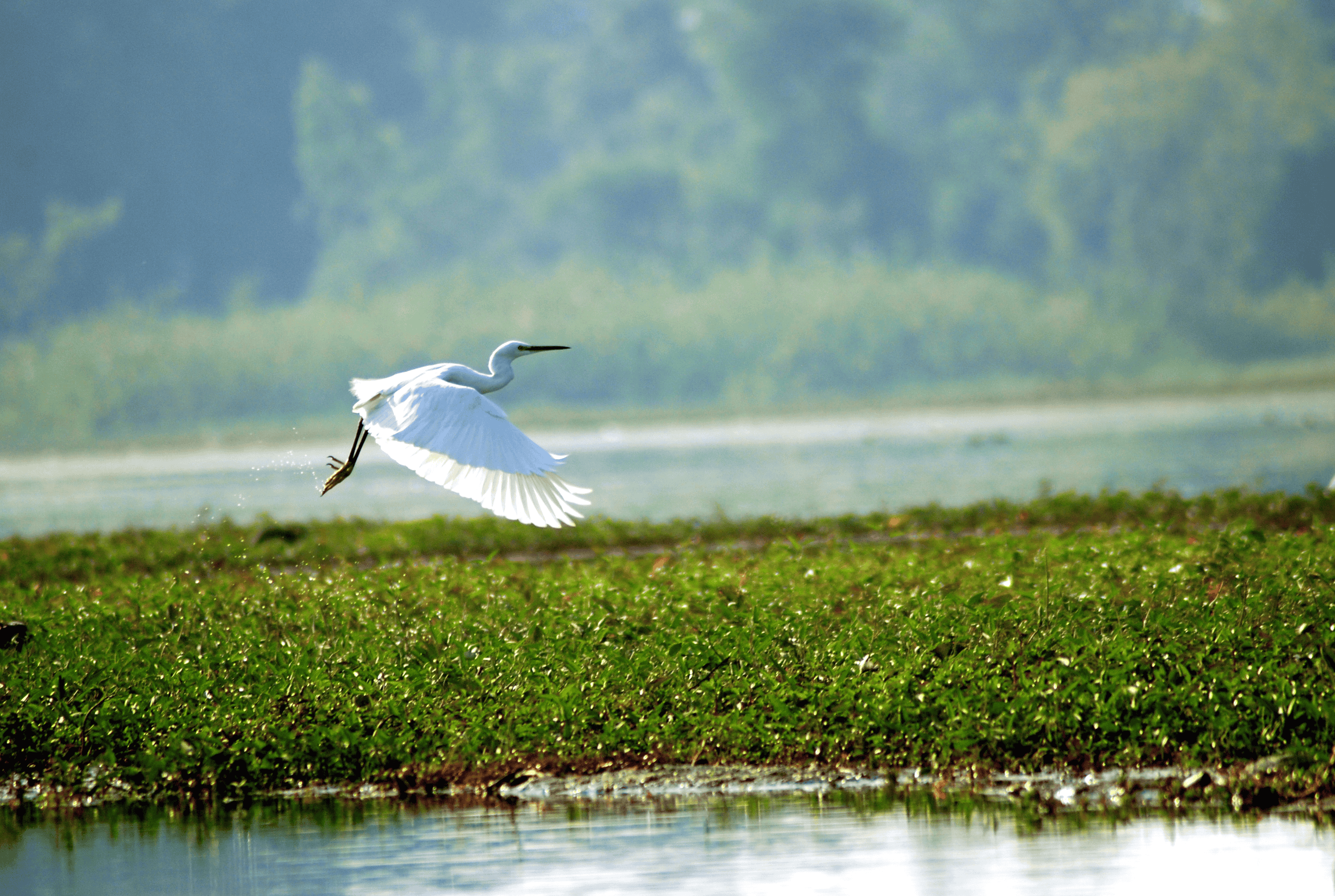 Aner Dam Wildlife Sanctuary