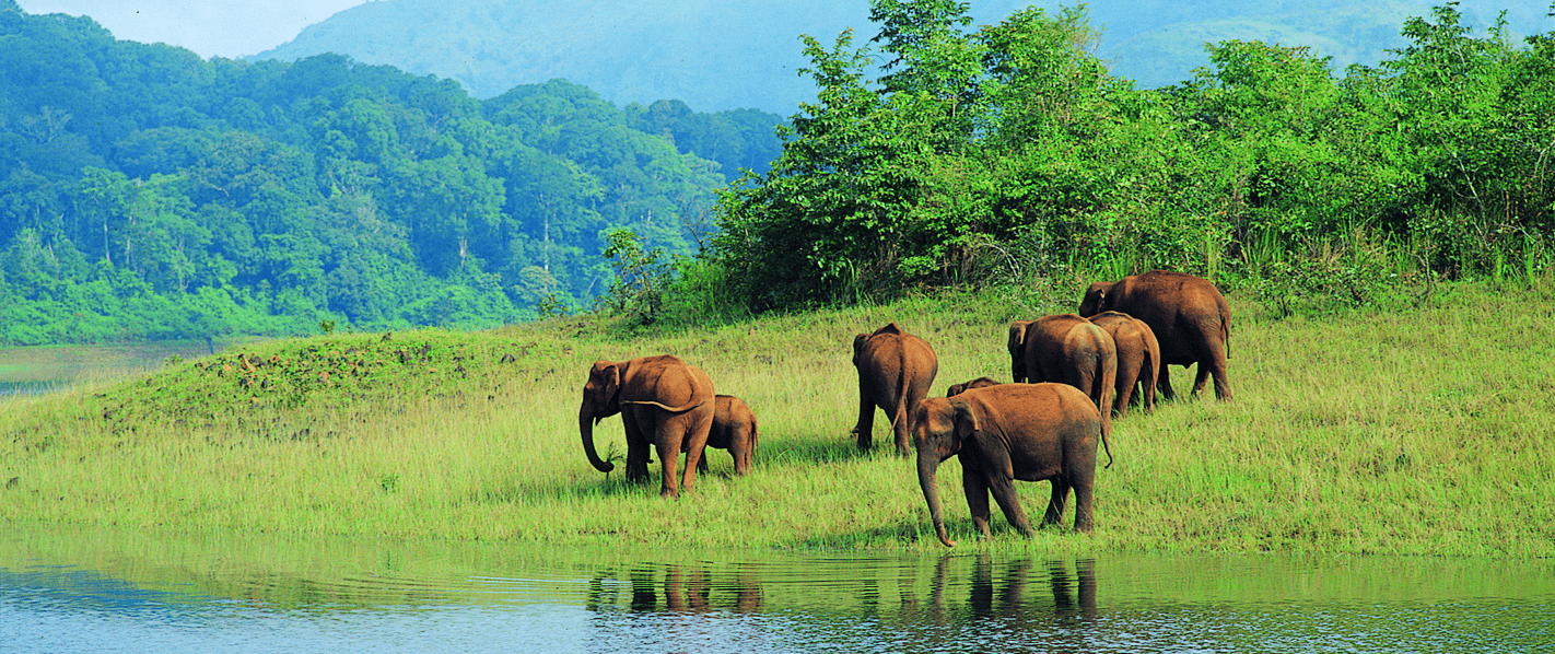 Koyna Wildlife Sanctuary