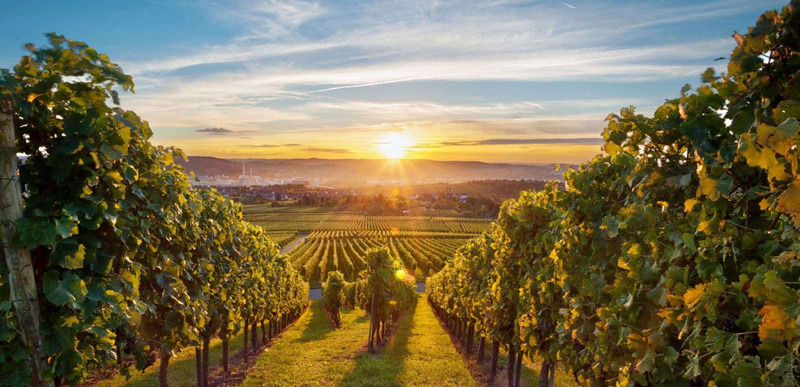 Nashik (170 Km from Mumbai)