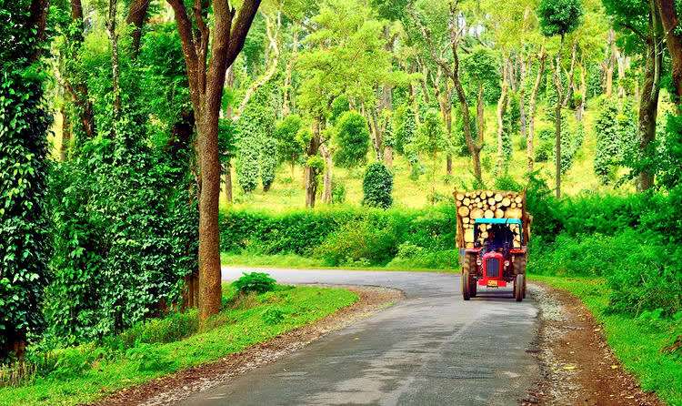 Coorg - 265 km from Bangalore
