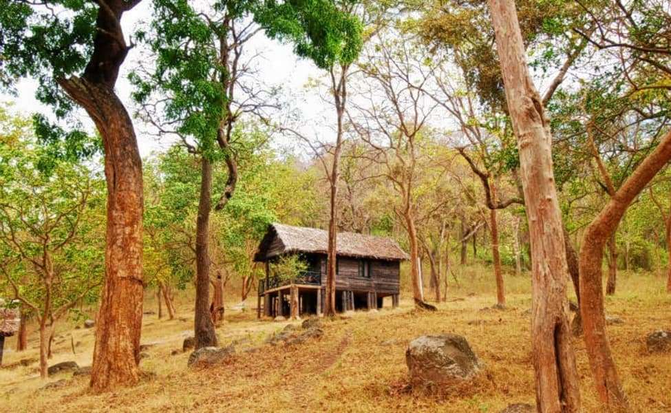 K Gudi Wilderness Camp Resort