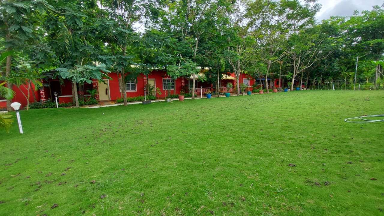 Panther Jungle Resort