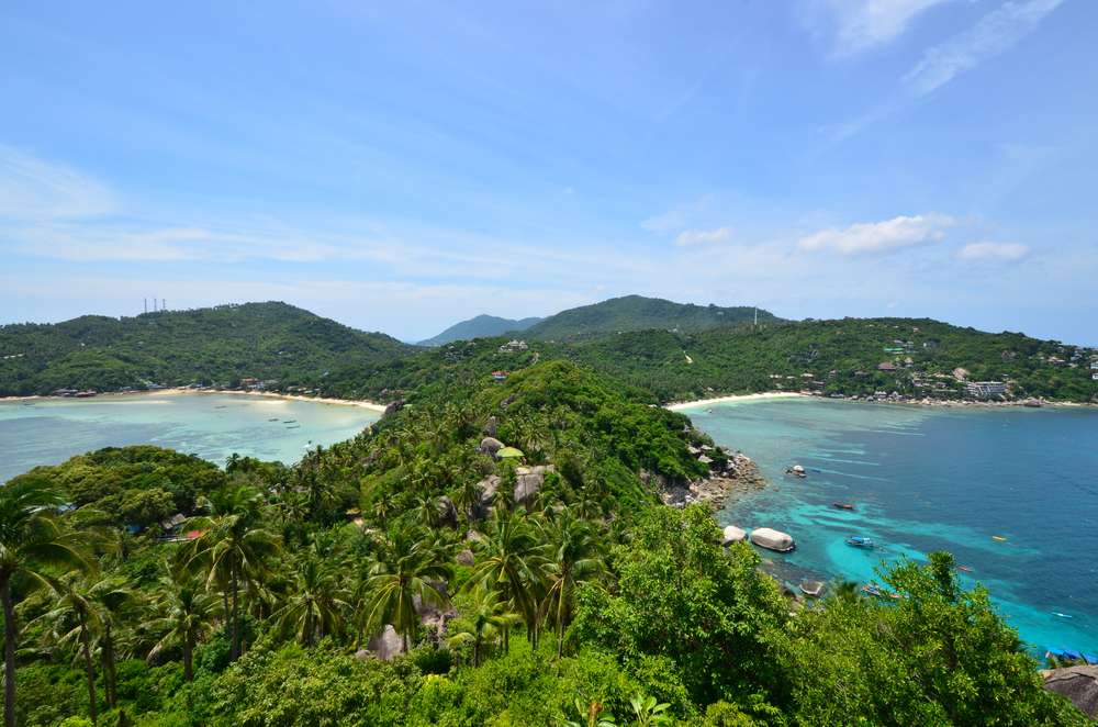 West Coast View Point