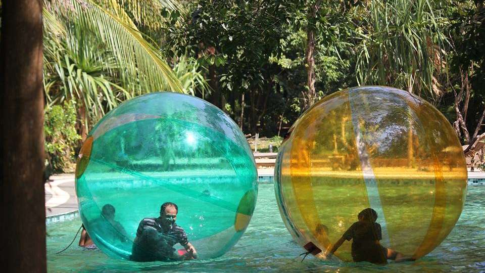 Wild Woods Spa and Resort