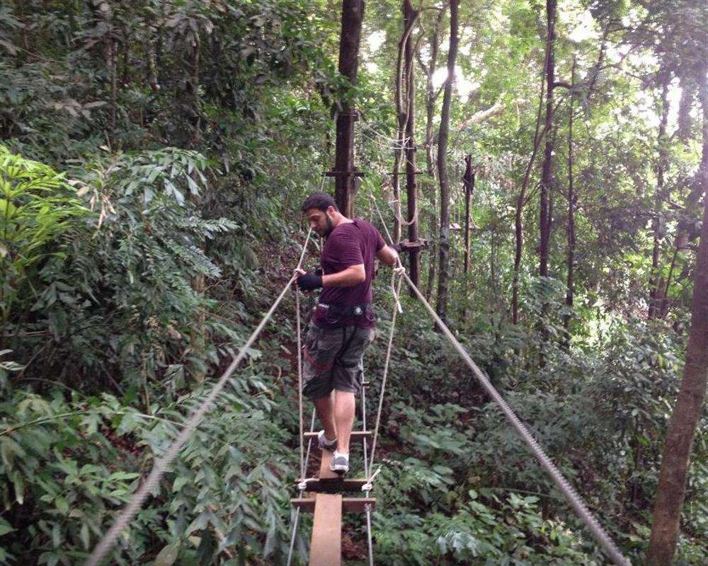 Visit Tree Top Adventure Park