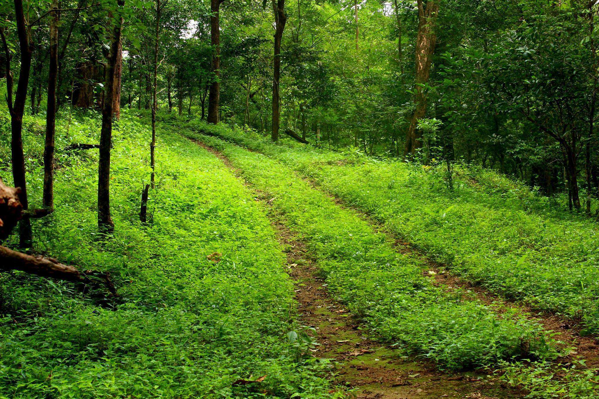 Chimmony Wildlife Sanctuary