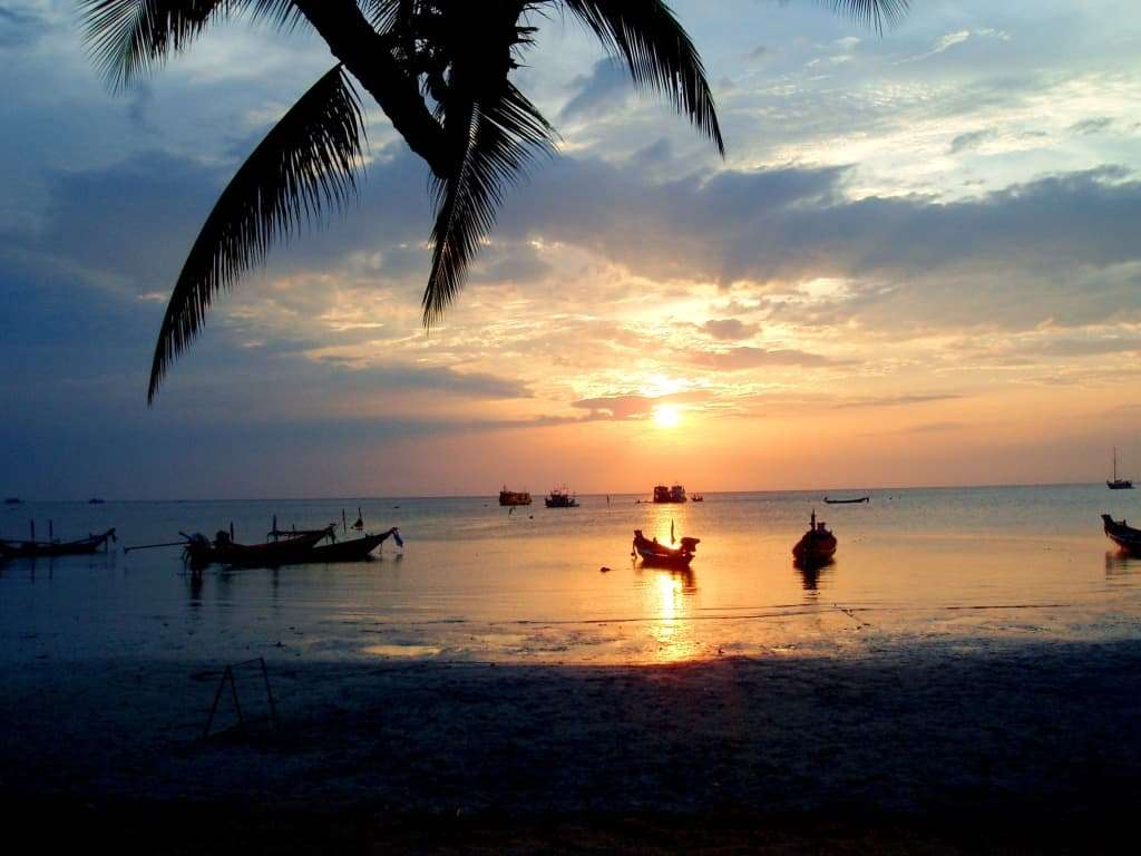 Watch Sunset at the Beach