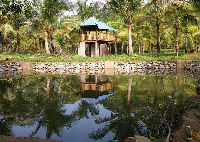 GreenWoods Jungle Resort