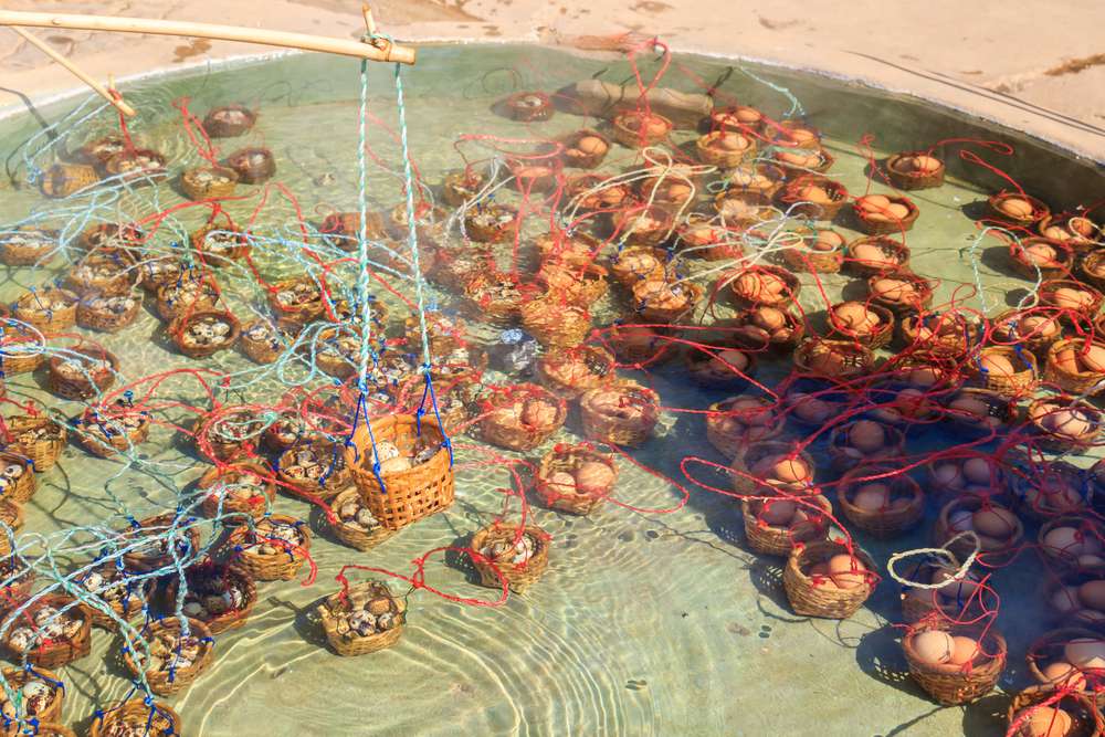 Cook Eggs in Mae Khachan Hot Springs