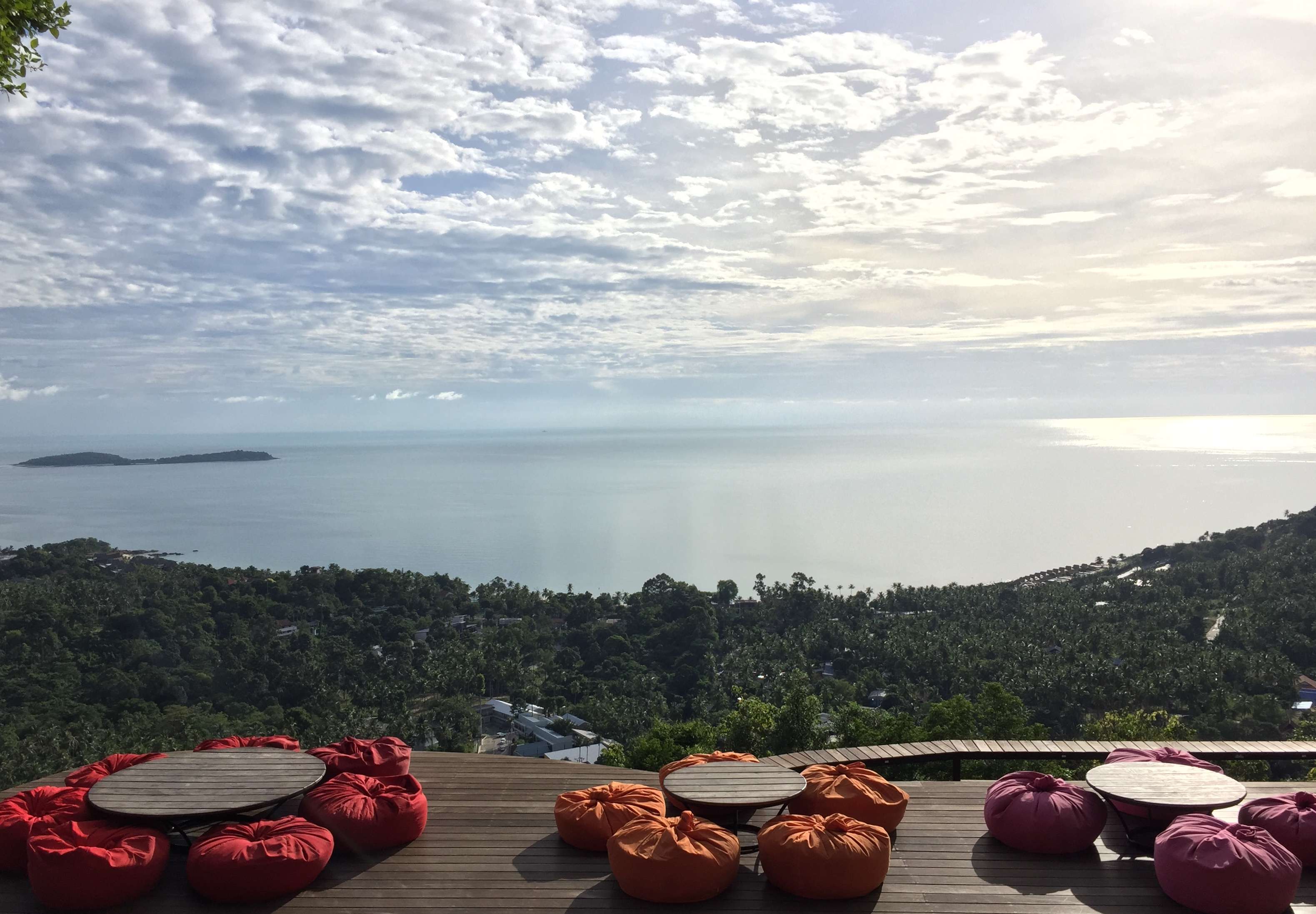 Have a Lunch at The Jungle Club